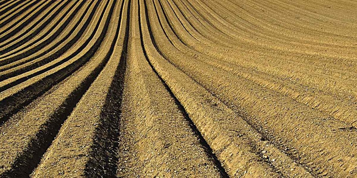 Food Waste Reduction Roadmap case studies WRAP